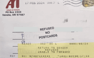 Hate Mail: Postcard Ban – Small Cards, Big Barriers
